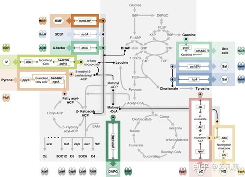 2020年合成生物学进展回顾 技术升级驱动领域跨越，通信系统集成带来全新视野